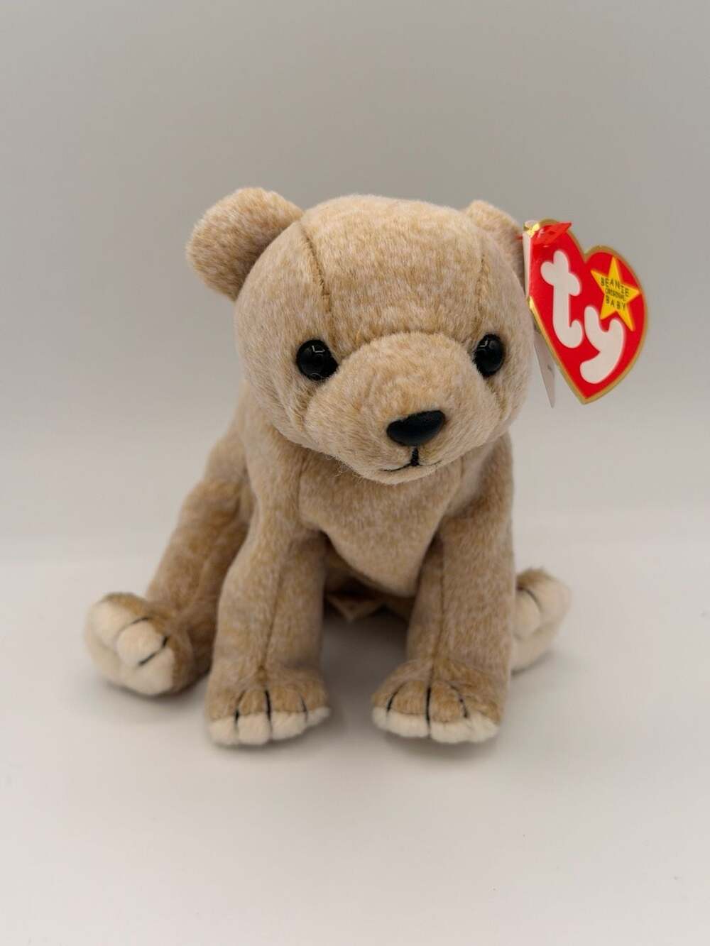 Ty Beanie Baby Almond the Bear Plush